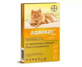 Интернет Магазин Для Животных Иваново