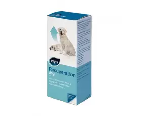 VIYO Recuperation питательный напиток для собак всех возрастов, 150 мл